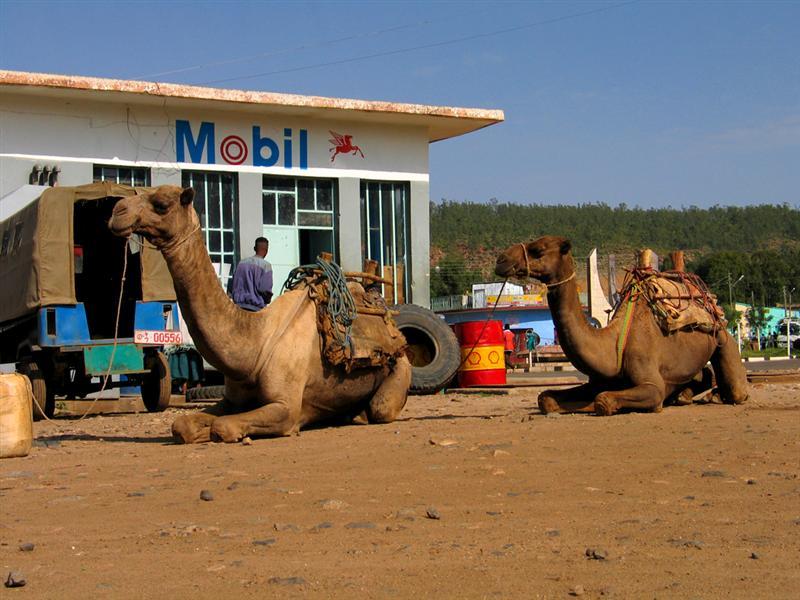 Foto: Etiopie-Aksum