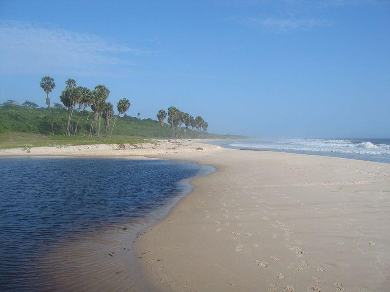 Foto: Gabon � Gabun-Petit Loango