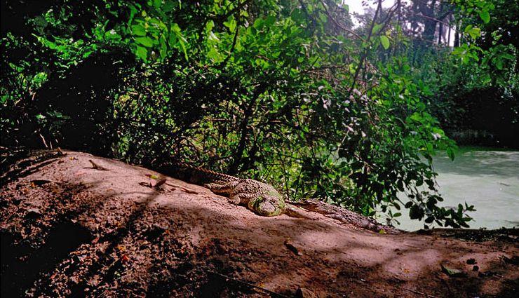 Foto: Gambie-Bakau