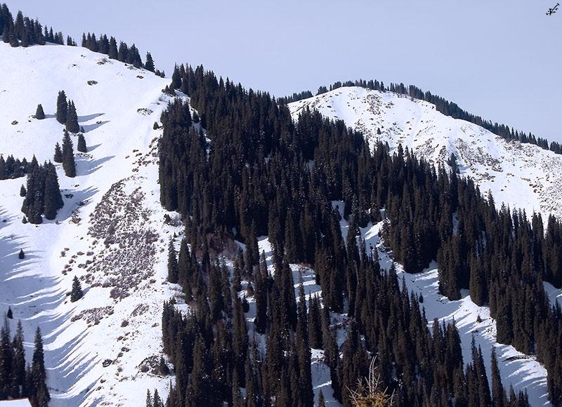 Foto: Kazachst�n-Mountaineside