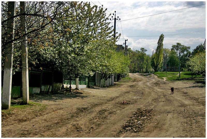 Foto: Moldavsko-Lonely road