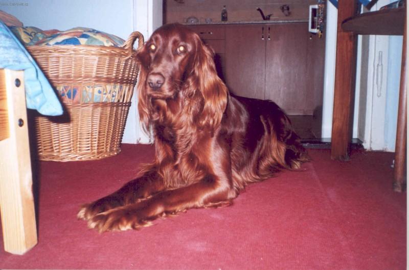 Fotky: Set�i (foto, obrazky)