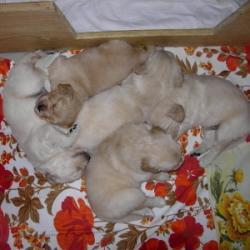 Fotky: �t�n� a v�e o n�m (foto, obrazky)