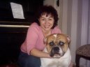 Americk� bulldog