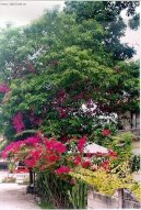 Filip�ny (cestopis)