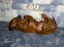 :  > Irsk� setr (Irish Red Setter)