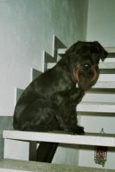 Kn�ra� st�edn�