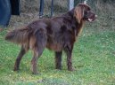 N�meck� dlouhosrst� oha�