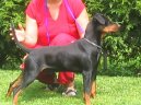 N�meck� pin�