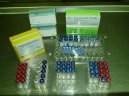 Ps� plemena:  > Pro� o�kovat psy a proti �emu (Parvovir�za, koronavir�za, psinka, Infek�n� hepatitida, vzteklina aj.)