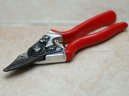 :  > �ez, tvarov�n� a p�stitelsk� triky (Trimming, shaping, polishing, leaves, etc.)