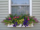 :  > Um�st�n� kv�tin (Placing flowers)