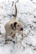 Zkou�ky oha�� v �R