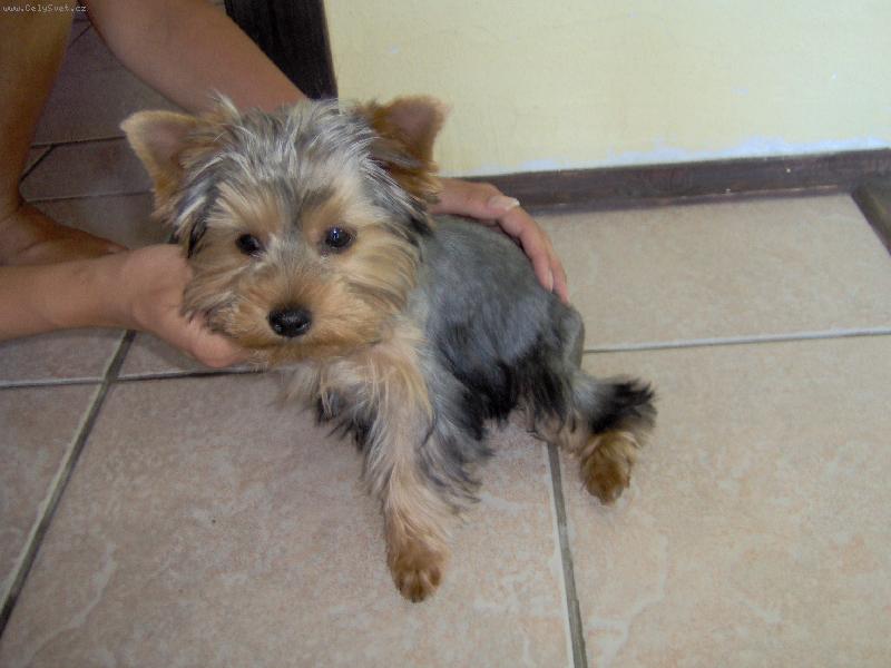 Foto: Magie
