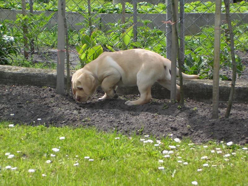 Foto: Charlie