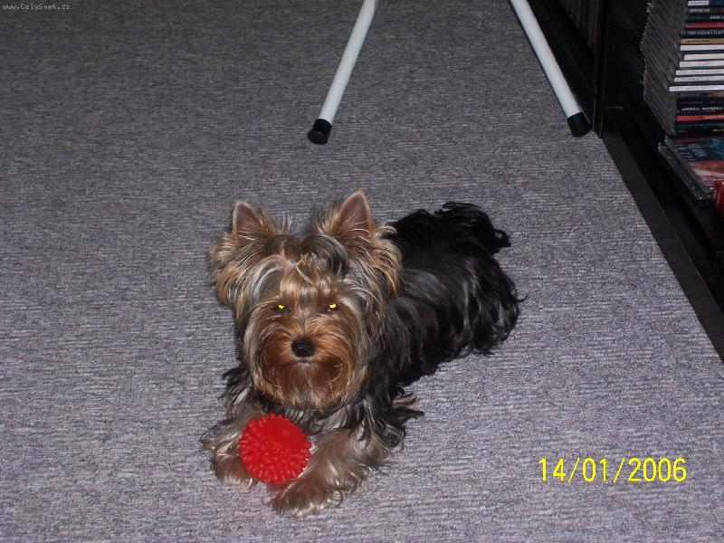 Foto: Bessy