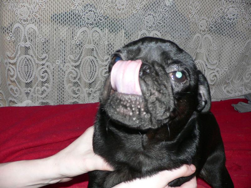 Foto: Max�k