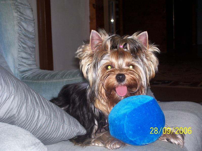 Foto: Bessy