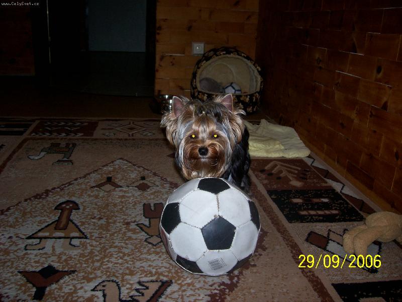 Foto: Bessy