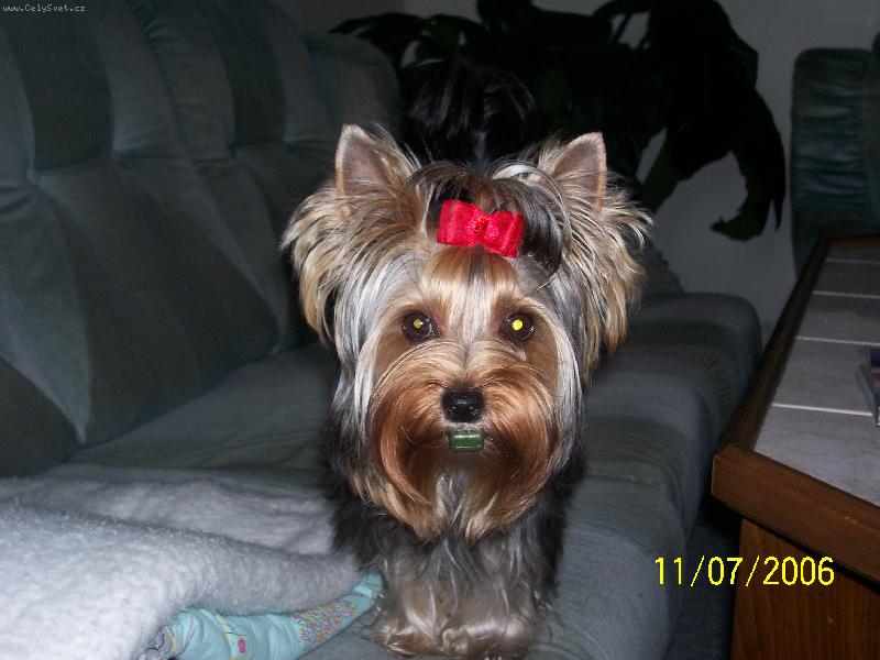 Foto: Bessy