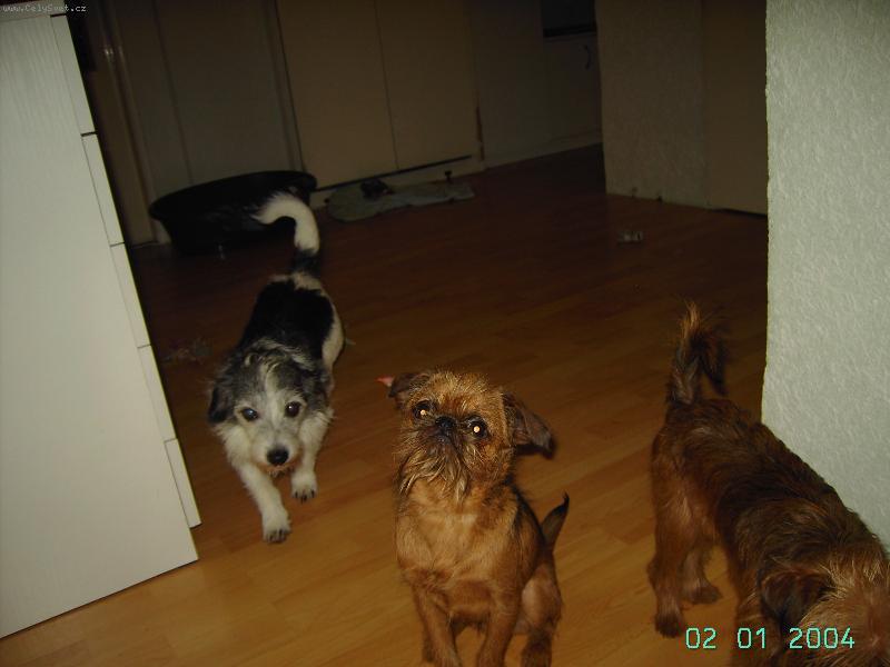 Foto: casper