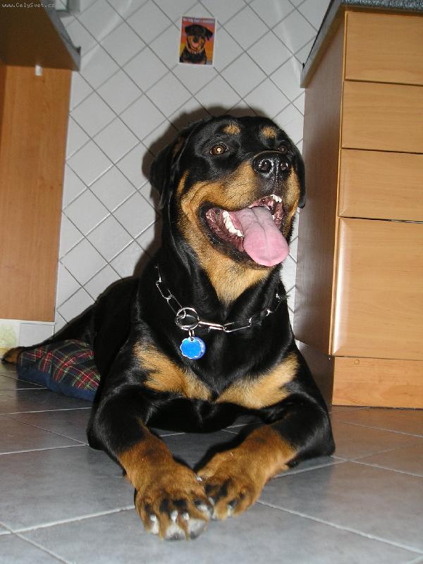 Foto: Mia