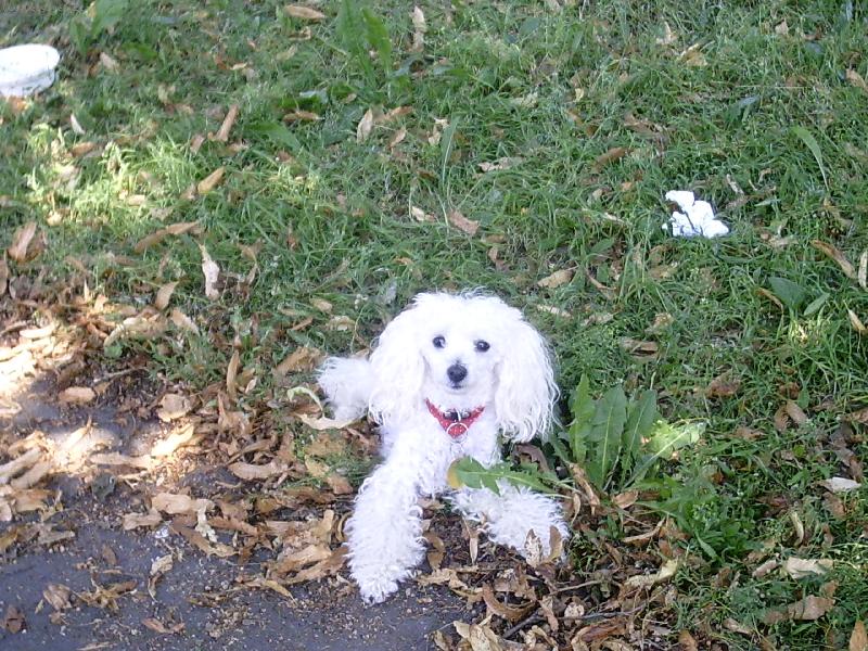Foto: Nelly