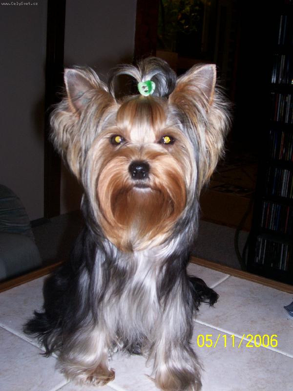 Foto: Bessy