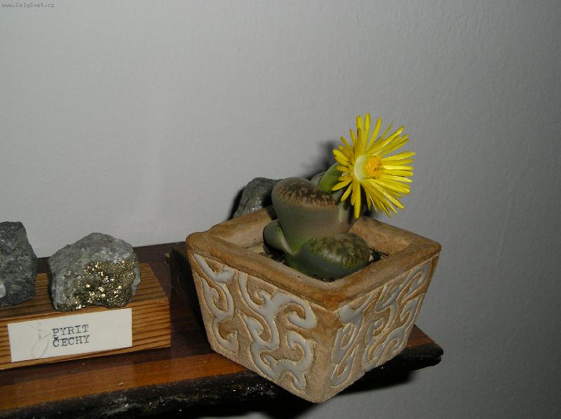 Foto: foto2