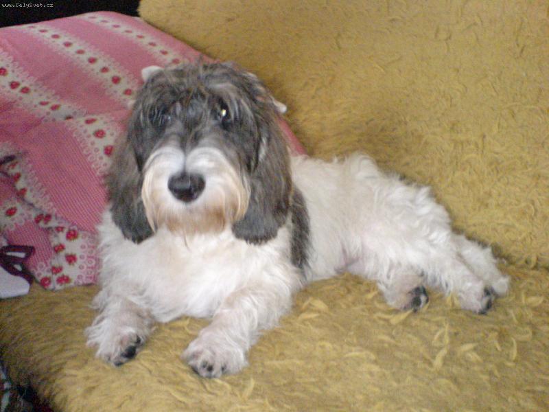 Foto: odpo�inek