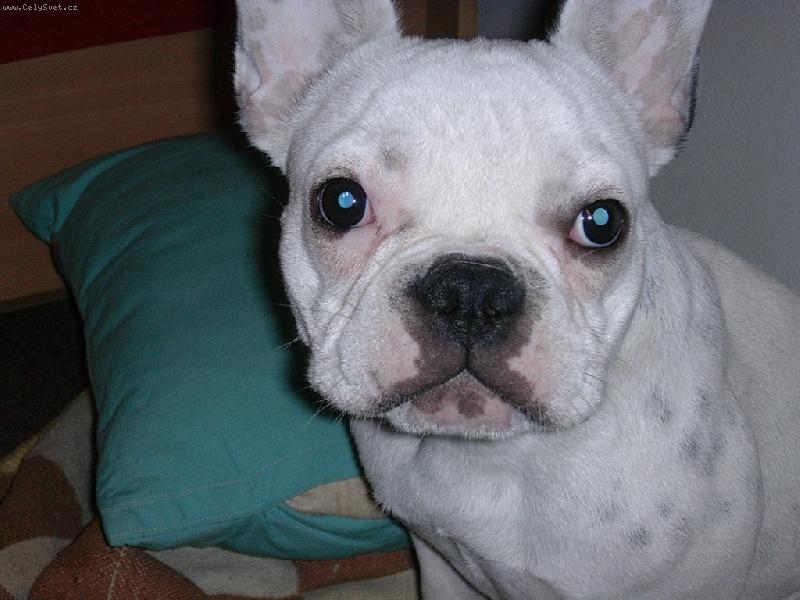 Foto: ORINKA