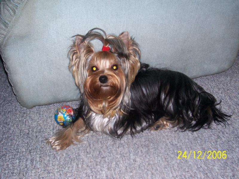 Foto: Bessy