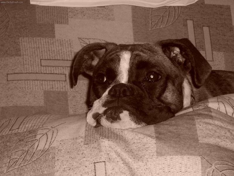 Foto: Elinka