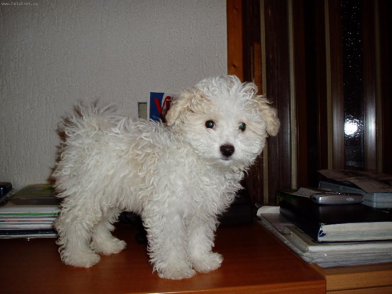 Foto: Lucky-Lucky