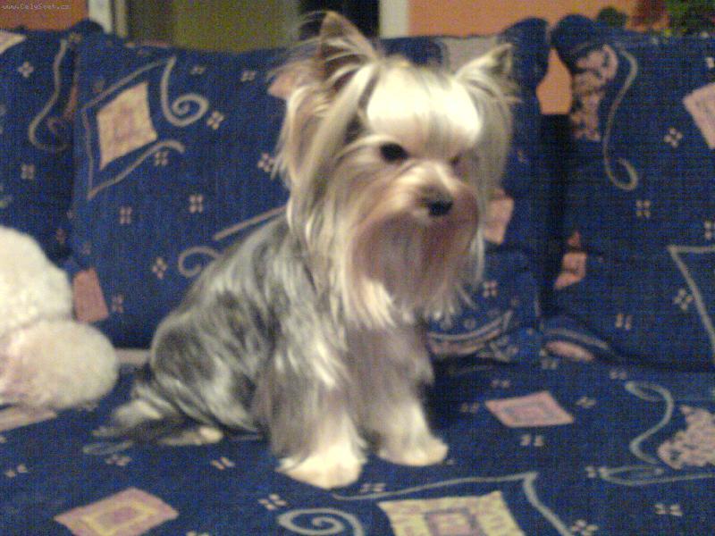Foto: Jolly