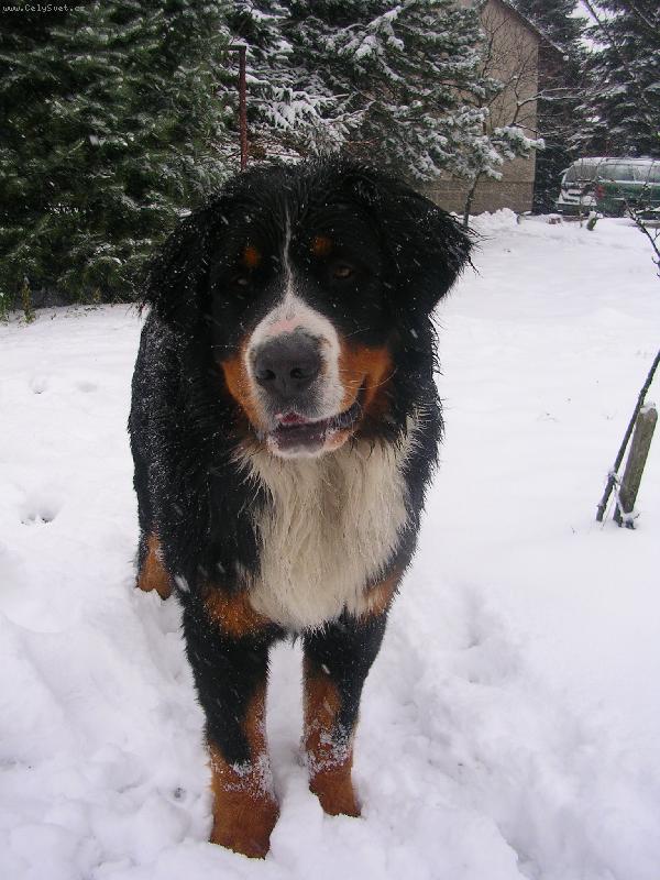 Foto: Max