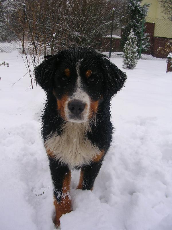 Foto: Sam