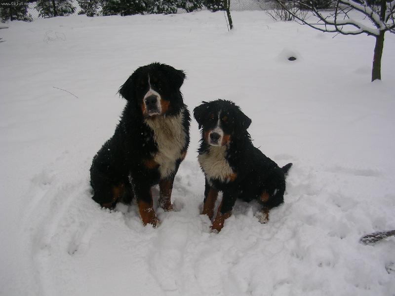 Foto: Max a Sam