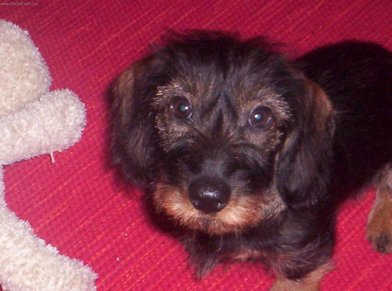 Foto: Nelly-baf!