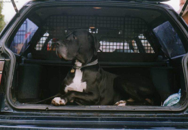 Foto: Charlie