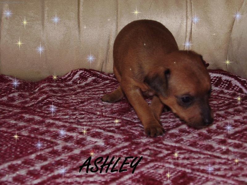 Foto: ashley
