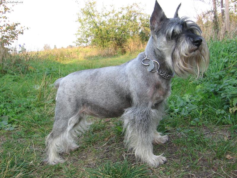 Foto: Molly