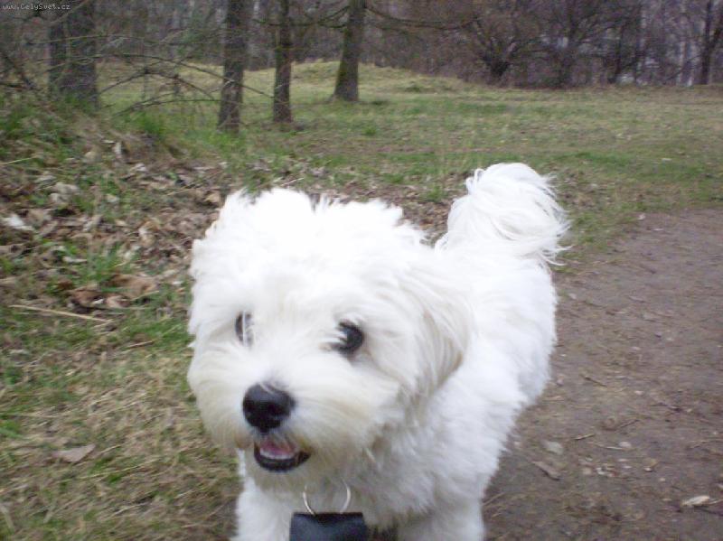 Foto: Kuk-Mont�k