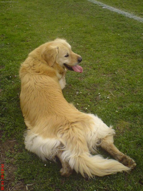 Foto: Max