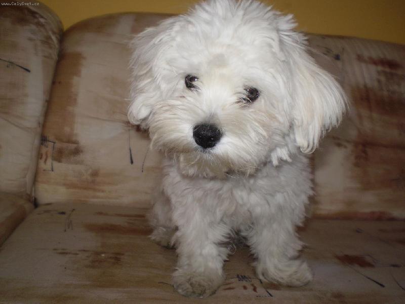 Foto: Monty