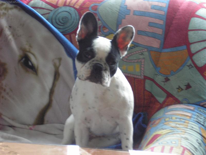 Foto: na�e Ajka