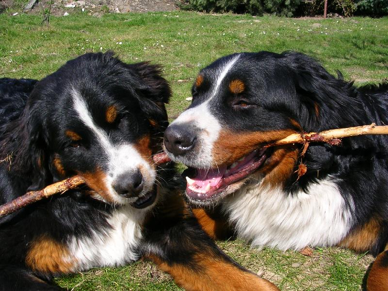 Foto: Max a Sam
