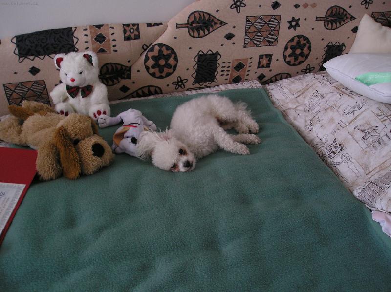 Foto: andy