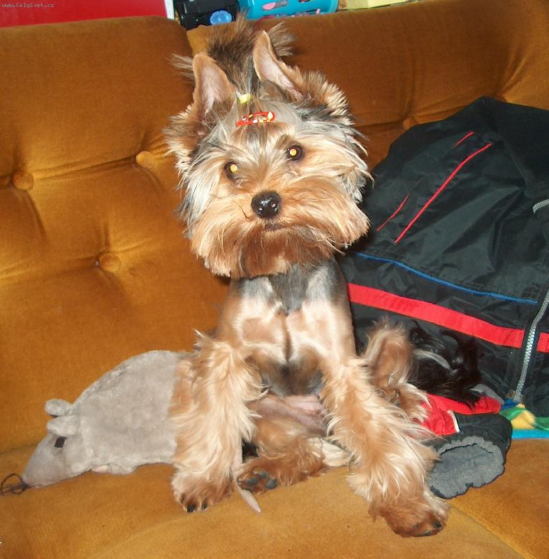 Foto: Jessy