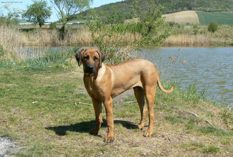 Foto: Arny-U vody